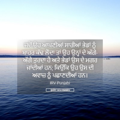 Picture 05 - ਯੂਹੰਨਾ 10:4 PANIRV - ਜਦੋਂ ਉਹ ਆਪਣੀਆਂ - Bible Verse Picture