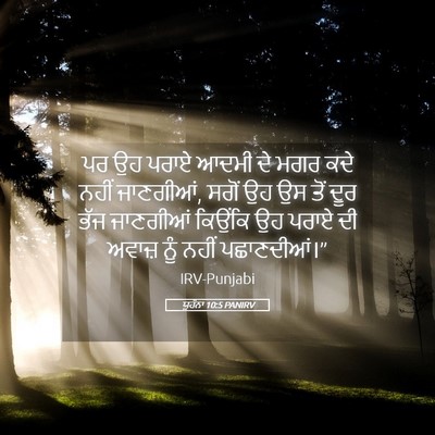 Picture 05 - ਯੂਹੰਨਾ 10:5 PANIRV - ਪਰ ਉਹ ਪਰਾਏ ਆਦਮੀ ਦੇ - Bible Verse Picture