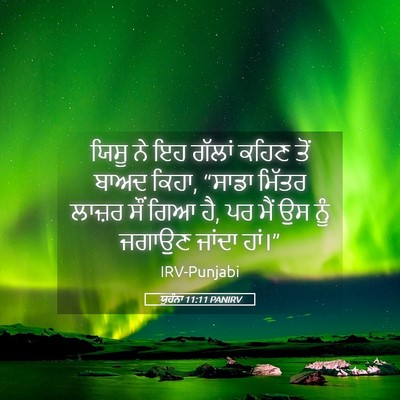 Picture 05 - ਯੂਹੰਨਾ 11:11 PANIRV - ਯਿਸੂ ਨੇ ਇਹ ਗੱਲਾਂ - Bible Verse Picture