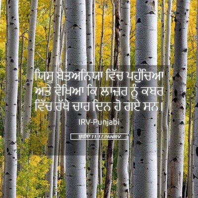 Picture 05 - ਯੂਹੰਨਾ 11:17 PANIRV - ਯਿਸੂ ਬੈਤਅਨਿਯਾ - Bible Verse Picture