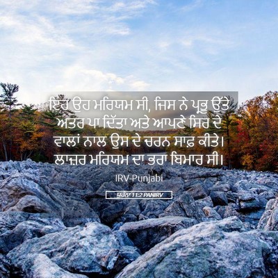 Picture 05 - ਯੂਹੰਨਾ 11:2 PANIRV - ਇਹ ਉਹ ਮਰਿਯਮ ਸੀ, ਜਿਸ - Bible Verse Picture