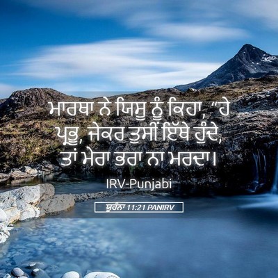 Picture 05 - ਯੂਹੰਨਾ 11:21 PANIRV - ਮਾਰਥਾ ਨੇ ਯਿਸੂ ਨੂੰ - Bible Verse Picture
