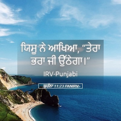 Picture 05 - ਯੂਹੰਨਾ 11:23 PANIRV - ਯਿਸੂ ਨੇ ਆਖਿਆ, “ਤੇਰਾ - Bible Verse Picture