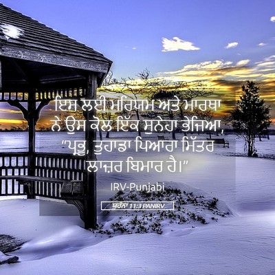 Picture 05 - ਯੂਹੰਨਾ 11:3 PANIRV - ਇਸ ਲਈ ਮਰਿਯਮ ਅਤੇ - Bible Verse Picture