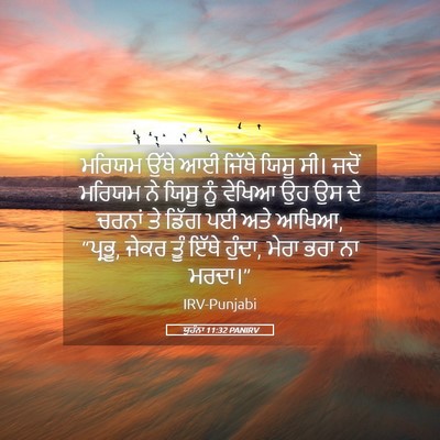 Picture 05 - ਯੂਹੰਨਾ 11:32 PANIRV - ਮਰਿਯਮ ਉੱਥੇ ਆਈ - Bible Verse Picture