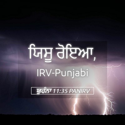 Picture 05 - ਯੂਹੰਨਾ 11:35 PANIRV - ਯਿਸੂ - Bible Verse Picture