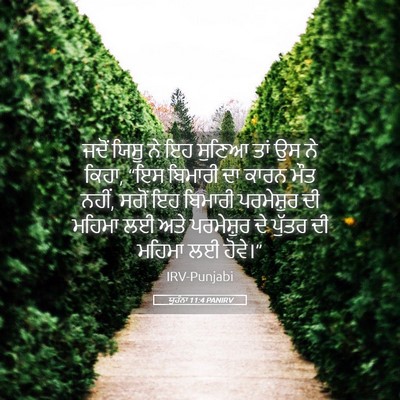 Picture 05 - ਯੂਹੰਨਾ 11:4 PANIRV - ਜਦੋਂ ਯਿਸੂ ਨੇ ਇਹ - Bible Verse Picture
