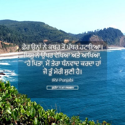 Picture 05 - ਯੂਹੰਨਾ 11:41 PANIRV - ਫ਼ੇਰ ਉਨ੍ਹਾਂ ਨੇ ਕਬਰ - Bible Verse Picture