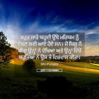 Picture 05 - ਯੂਹੰਨਾ 11:45 PANIRV - ਬਹੁਤ ਸਾਰੇ ਯਹੂਦੀ - Bible Verse Picture
