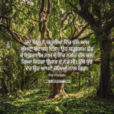 Picture 05 - ਯੂਹੰਨਾ 11:54 PANIRV - ਤਦ ਯਿਸੂ ਨੇ ਯਹੂਦੀਆਂ - Bible Verse Picture