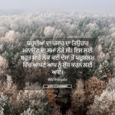 Picture 05 - ਯੂਹੰਨਾ 11:55 PANIRV - ਯਹੂਦੀਆਂ ਦਾ ਪਸਾਹ ਦਾ - Bible Verse Picture