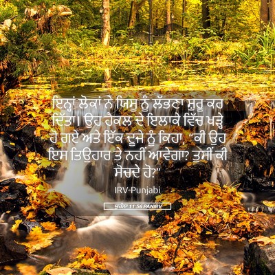 Picture 05 - ਯੂਹੰਨਾ 11:56 PANIRV - ਇਨ੍ਹਾਂ ਲੋਕਾਂ ਨੇ - Bible Verse Picture