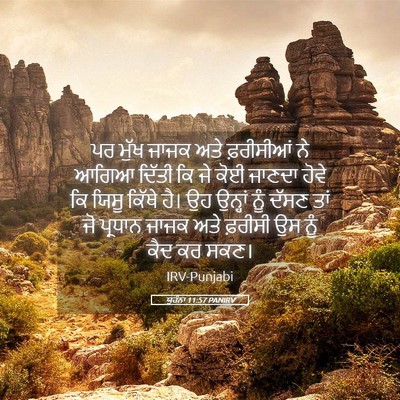 Picture 05 - ਯੂਹੰਨਾ 11:57 PANIRV - ਪਰ ਮੁੱਖ ਜਾਜਕ ਅਤੇ - Bible Verse Picture