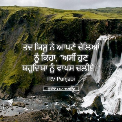 Picture 05 - ਯੂਹੰਨਾ 11:7 PANIRV - ਤਦ ਯਿਸੂ ਨੇ ਆਪਣੇ - Bible Verse Picture