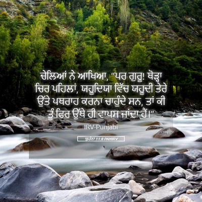 Picture 05 - ਯੂਹੰਨਾ 11:8 PANIRV - ਚੇਲਿਆਂ ਨੇ ਆਖਿਆ, “ਪਰ - Bible Verse Picture
