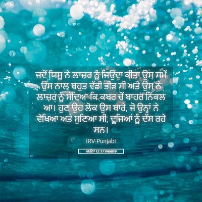 Picture 05 - ਯੂਹੰਨਾ 12:17 PANIRV - ਜਦੋਂ ਯਿਸੂ ਨੇ ਲਾਜ਼ਰ - Bible Verse Picture