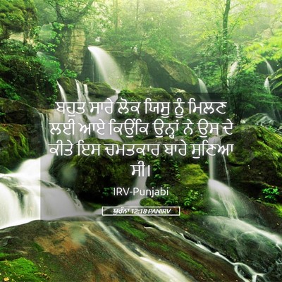 Picture 05 - ਯੂਹੰਨਾ 12:18 PANIRV - ਬਹੁਤ ਸਾਰੇ ਲੋਕ ਯਿਸੂ - Bible Verse Picture
