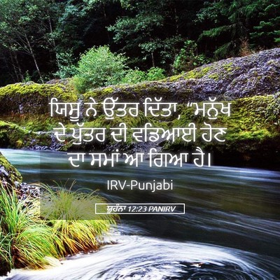 Picture 05 - ਯੂਹੰਨਾ 12:23 PANIRV - ਯਿਸੂ ਨੇ ਉੱਤਰ ਦਿੱਤਾ, - Bible Verse Picture