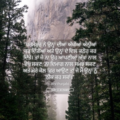 Picture 05 - ਯੂਹੰਨਾ 12:40 PANIRV - “ਪਰਮੇਸ਼ੁਰ ਨੇ - Bible Verse Picture