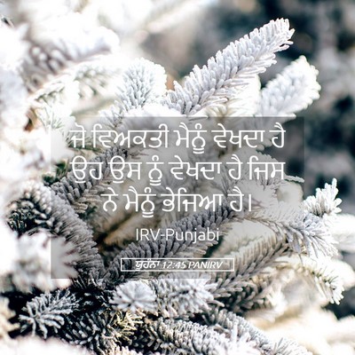 Picture 05 - ਯੂਹੰਨਾ 12:45 PANIRV - ਜੋ ਵਿਅਕਤੀ ਮੈਨੂੰ - Bible Verse Picture