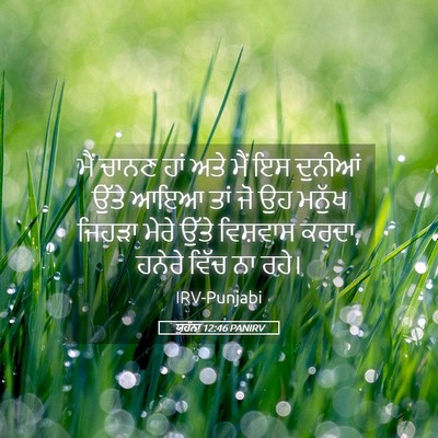Picture 05 - ਯੂਹੰਨਾ 12:46 PANIRV - ਮੈਂ ਚਾਨਣ ਹਾਂ ਅਤੇ - Bible Verse Picture