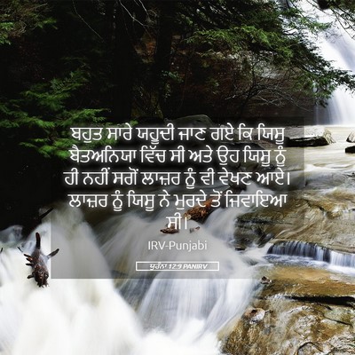 Picture 05 - ਯੂਹੰਨਾ 12:9 PANIRV - ਬਹੁਤ ਸਾਰੇ ਯਹੂਦੀ - Bible Verse Picture