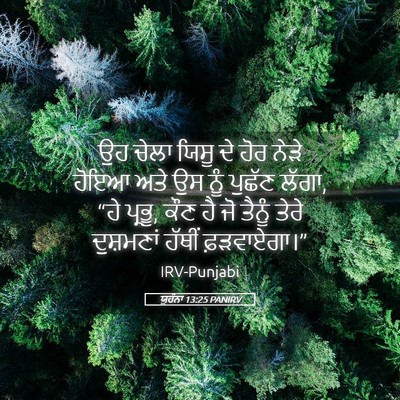 Picture 05 - ਯੂਹੰਨਾ 13:25 PANIRV - ਉਹ ਚੇਲਾ ਯਿਸੂ ਦੇ ਹੋਰ - Bible Verse Picture