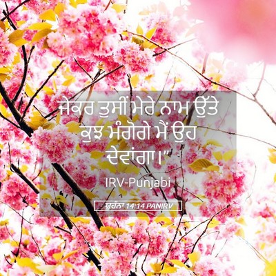 Picture 05 - ਯੂਹੰਨਾ 14:14 PANIRV - ਜੇਕਰ ਤੁਸੀਂ ਮੇਰੇ - Bible Verse Picture