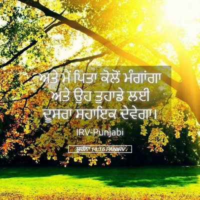 Picture 05 - ਯੂਹੰਨਾ 14:16 PANIRV - ਅਤੇ ਮੈਂ ਪਿਤਾ ਕੋਲੋਂ - Bible Verse Picture