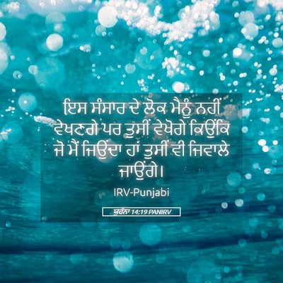 Picture 05 - ਯੂਹੰਨਾ 14:19 PANIRV - ਇਸ ਸੰਸਾਰ ਦੇ ਲੋਕ - Bible Verse Picture