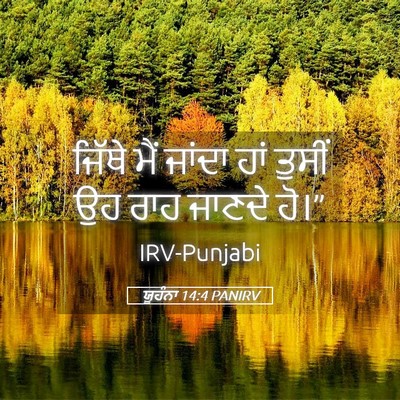Picture 05 - ਯੂਹੰਨਾ 14:4 PANIRV - ਜਿੱਥੇ ਮੈਂ ਜਾਂਦਾ - Bible Verse Picture