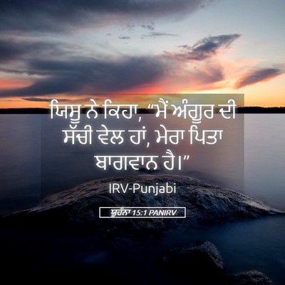 Picture 05 - ਯੂਹੰਨਾ 15:1 PANIRV - ਯਿਸੂ ਨੇ ਕਿਹਾ, “ਮੈਂ - Bible Verse Picture