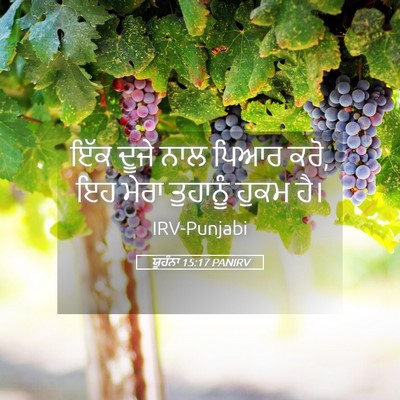 Picture 05 - ਯੂਹੰਨਾ 15:17 PANIRV - ਇੱਕ ਦੂਜੇ ਨਾਲ ਪਿਆਰ - Bible Verse Picture