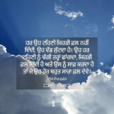 Picture 05 - ਯੂਹੰਨਾ 15:2 PANIRV - ਹਰ ਉਹ ਟਹਿਣੀ ਜਿਹੜੀ - Bible Verse Picture