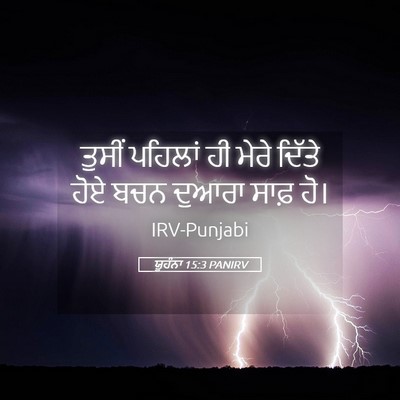 Picture 05 - ਯੂਹੰਨਾ 15:3 PANIRV - ਤੁਸੀਂ ਪਹਿਲਾਂ ਹੀ - Bible Verse Picture