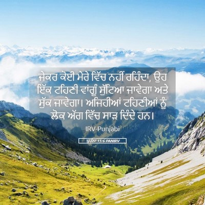 Picture 05 - ਯੂਹੰਨਾ 15:6 PANIRV - ਜੇਕਰ ਕੋਈ ਮੇਰੇ ਵਿੱਚ - Bible Verse Picture