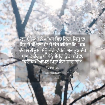 Picture 05 - ਯੂਹੰਨਾ 16:17 PANIRV - ਕੁਝ ਚੇਲਿਆਂ ਨੇ ਆਪਸ - Bible Verse Picture