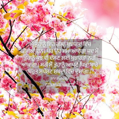 Picture 05 - ਯੂਹੰਨਾ 16:25 PANIRV - “ਮੈਂ ਤੁਹਾਨੂੰ ਇਹ - Bible Verse Picture