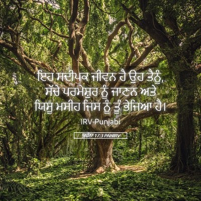 Picture 05 - ਯੂਹੰਨਾ 17:3 PANIRV - ਇਹ ਸਦੀਪਕ ਜੀਵਨ ਹੈ ਉਹ - Bible Verse Picture