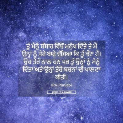 Picture 05 - ਯੂਹੰਨਾ 17:6 PANIRV - ਤੂੰ ਮੈਨੂੰ ਸੰਸਾਰ - Bible Verse Picture