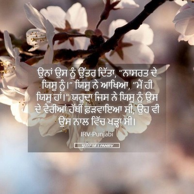 Picture 05 - ਯੂਹੰਨਾ 18:5 PANIRV - ਉਨਾਂ ਉਸ ਨੂੰ ਉੱਤਰ - Bible Verse Picture