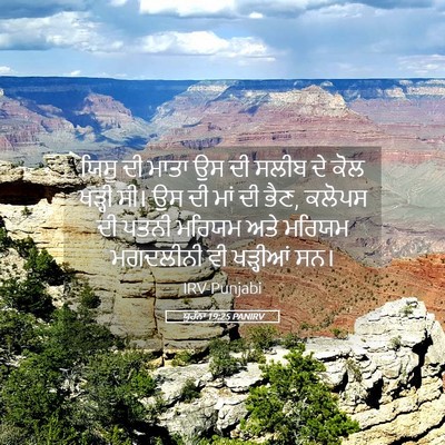 Picture 05 - ਯੂਹੰਨਾ 19:25 PANIRV - ਯਿਸੂ ਦੀ ਮਾਤਾ ਉਸ ਦੀ - Bible Verse Picture