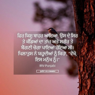 Picture 05 - ਯੂਹੰਨਾ 19:5 PANIRV - ਫਿਰ ਯਿਸੂ ਬਾਹਰ ਆਇਆ, - Bible Verse Picture