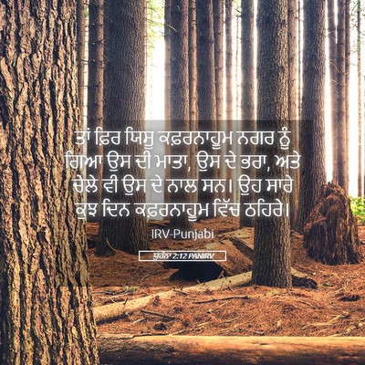 Picture 05 - ਯੂਹੰਨਾ 2:12 PANIRV - ਤਾਂ ਫ਼ਿਰ ਯਿਸੂ - Bible Verse Picture
