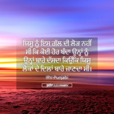 Picture 05 - ਯੂਹੰਨਾ 2:25 PANIRV - ਯਿਸੂ ਨੂੰ ਇਸ ਗੱਲ ਦੀ - Bible Verse Picture