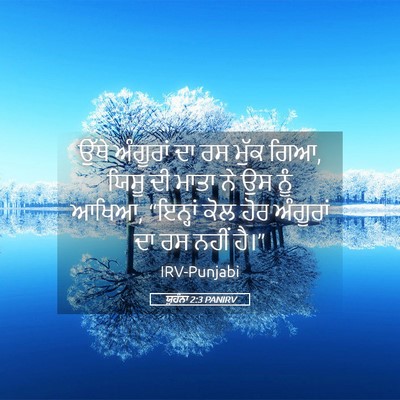 Picture 05 - ਯੂਹੰਨਾ 2:3 PANIRV - ਉੱਥੇ ਅੰਗੂਰਾਂ ਦਾ ਰਸ - Bible Verse Picture