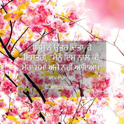 Picture 05 - ਯੂਹੰਨਾ 2:4 PANIRV - ਯਿਸੂ ਨੇ ਉੱਤਰ ਦਿੱਤਾ, - Bible Verse Picture