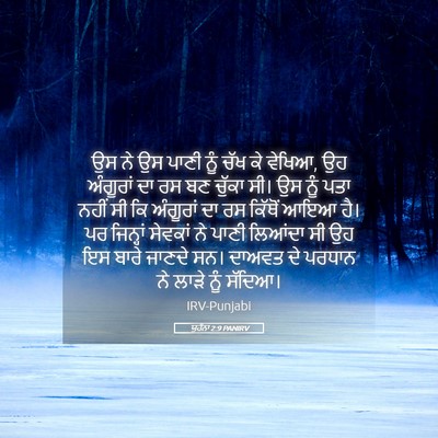 Picture 05 - ਯੂਹੰਨਾ 2:9 PANIRV - ਉਸ ਨੇ ਉਸ ਪਾਣੀ ਨੂੰ - Bible Verse Picture