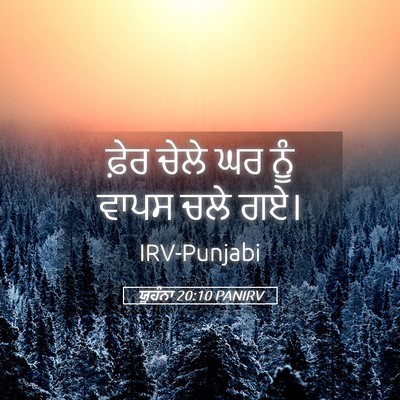 Picture 05 - ਯੂਹੰਨਾ 20:10 PANIRV - ਫ਼ੇਰ ਚੇਲੇ ਘਰ ਨੂੰ - Bible Verse Picture