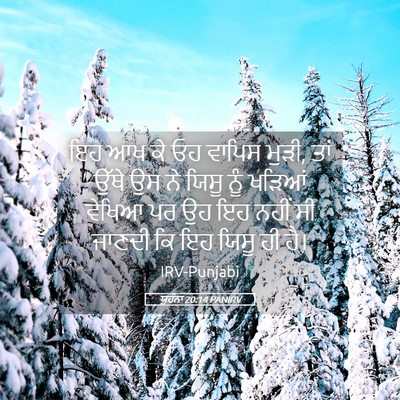 Picture 05 - ਯੂਹੰਨਾ 20:14 PANIRV - ਇਹ ਆਖ ਕੇ ਓਹ ਵਾਪਿਸ - Bible Verse Picture